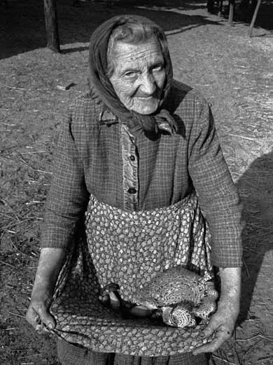Hernina Jeka Ostrowo